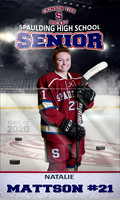 3x5 bannerhnNatalieMattson