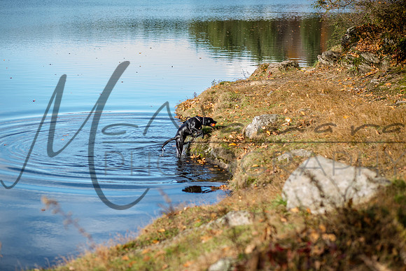 6C1A705822