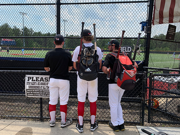 IMG_6881