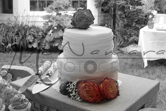 SavannahandRock_Cake3