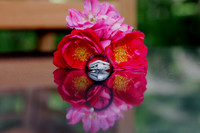 SavannahandRock_Ornamentals4