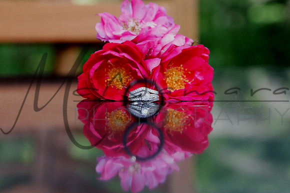SavannahandRock_Ornamentals4