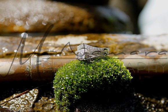 SavannahandRock_Ornamentals7