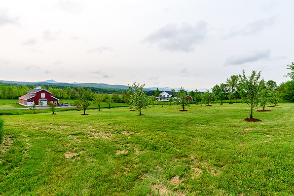6C1A8448
