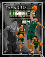 16x20 Poster