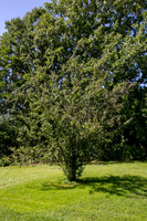 6C1A0087
